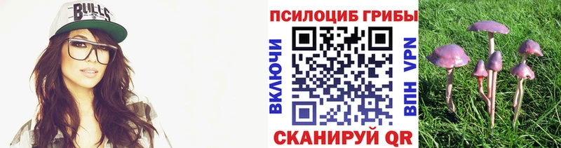 mega маркетплейс  Королёв  Псилоцибиновые грибы Cubensis 
